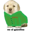 perritus beibes 18