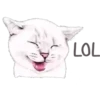 Cat Talk 12