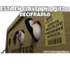 Madagascar 1 21