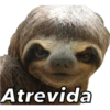 Animales 19