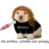 perritus beibes 19