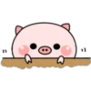 Pink Baby Pig 2 19