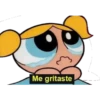 Me gritaste