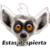 Animales 20