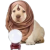 perritus beibes 21