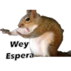 Animales 21