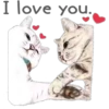 Cat Talk 14