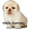 mela mamas