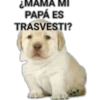 ¿MAMA MI
PAPÁ ES
TRASVESTI?