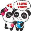 Panditas enamorados 22