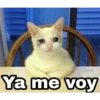 Ya me voy