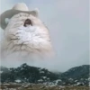 Animales cools 27