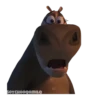 Madagascar 1 24