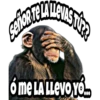 PLANETA DE LOS SIMIOS 23