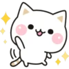 Cat 24