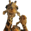 Animales 23