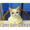Que me miras