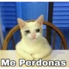 Me Perdonas