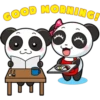 Panditas enamorados 24