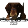 Madagascar 1 27