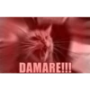Animales cools 28