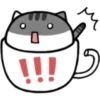 Coffee Cats 23