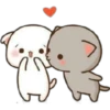 CatsForLety 22