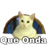 Que Onda