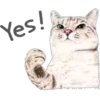 Cat Talk 15