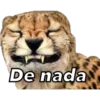 Animales 25