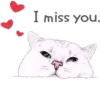 Cat Talk 16