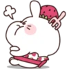 Rabbit 22