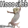 Hooo si bb
+ Grillow