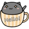 Coffee Cats 27