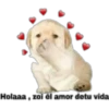 Holaaa, zoi él amor detu vida