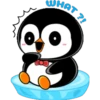 Pingüinito Pichu 16