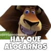 Madagascar 1 28
