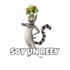 Madagascar 1 29