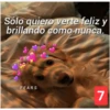 Secuencias de perritos 29