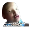 pinshis shishotas
se las shupo