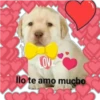 LOV
llo te amo mucho