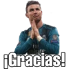 FIRA
RESPECT
Fly
mirate
Gracias!