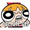 CALLATE GEP