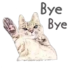 Cat Talk 18