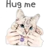 Cat Talk 19
