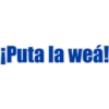 ¡Puta la weá!