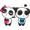 Panditas enamorados 30