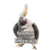 Por lo menos Dime gracias cb
