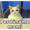 Perdóname
mami