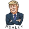 Mr. Trump 1 18